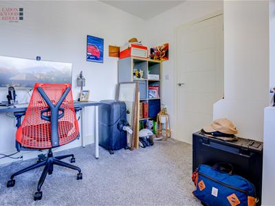 Picture 12